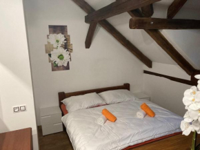 Apartmánový dům 13 Podkroví 2 Vidlatá Seč